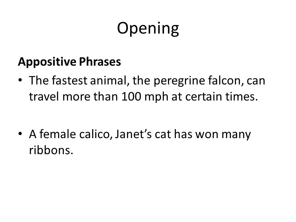 Opening Appositive Phrases The fastest animal, the peregrine falcon, can travel more than 100 mph at certain times.