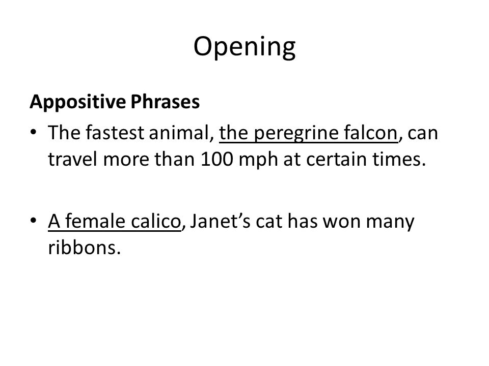 Opening Appositive Phrases The fastest animal, the peregrine falcon, can travel more than 100 mph at certain times.