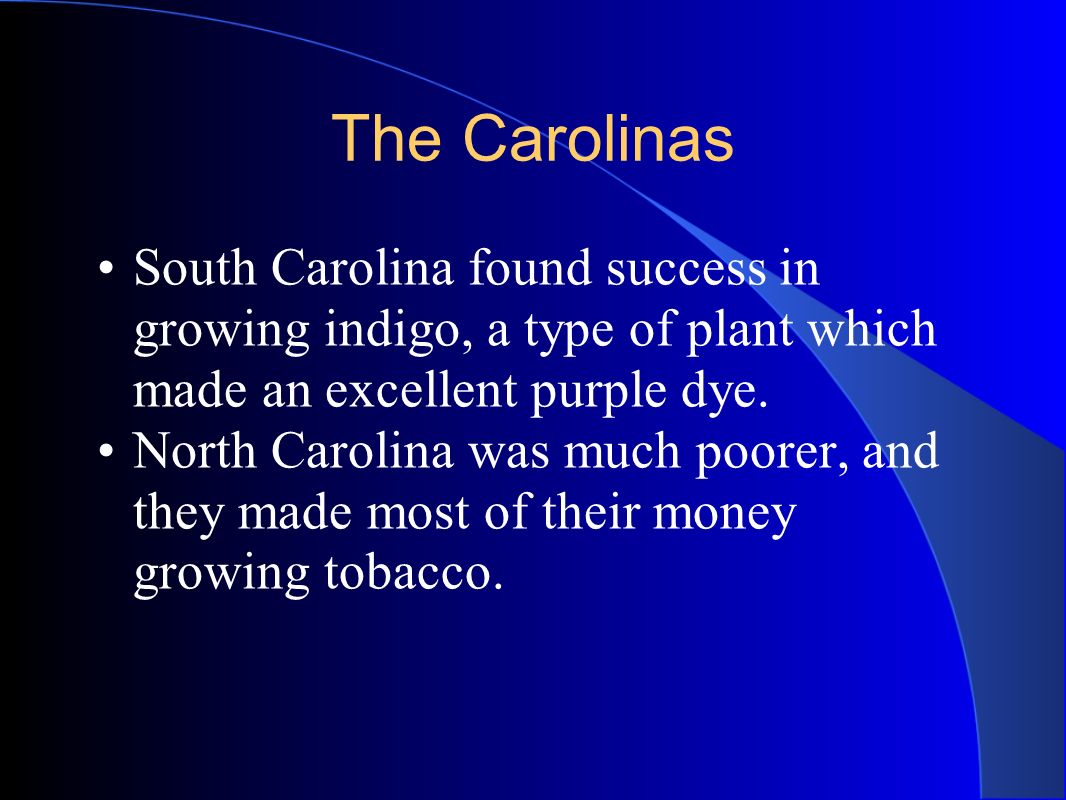 The Carolinas South Carolina found success in growing indigo, a type of plant which made an excellent purple dye.