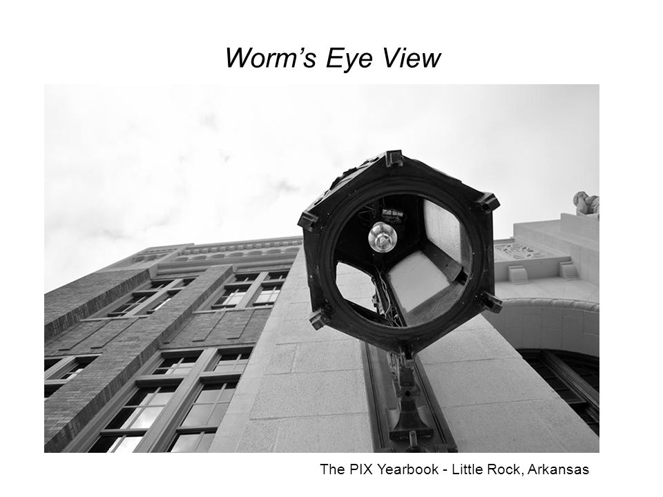 Worm’s Eye View