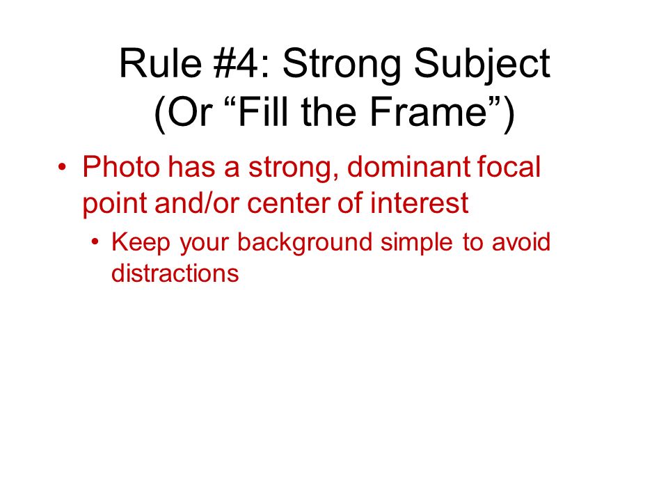 Rule #4: Strong Subject (Or Fill the Frame ) Photo has a strong, dominant focal point and/or center of interest Keep your background simple to avoid distractions
