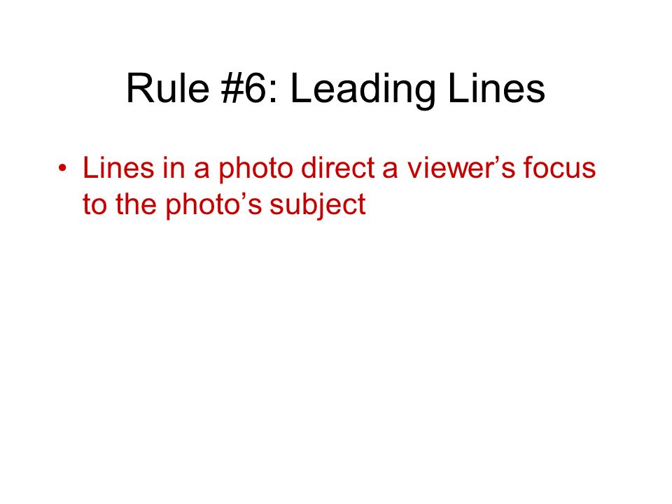 Rule #6: Leading Lines Lines in a photo direct a viewer’s focus to the photo’s subject