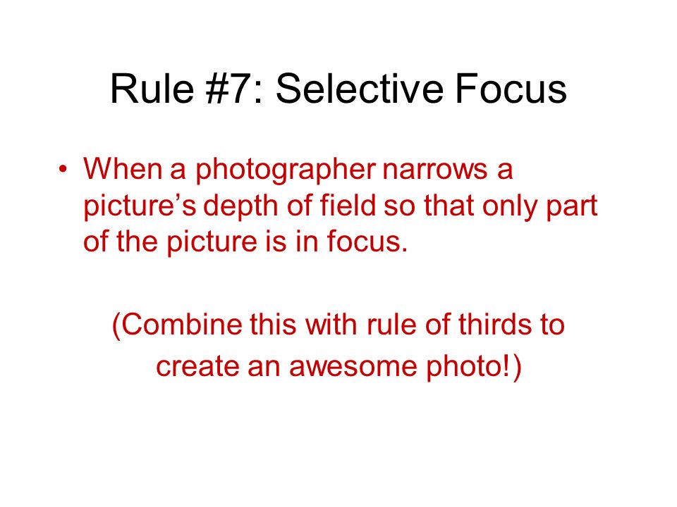 Rule #7: Selective Focus When a photographer narrows a picture’s depth of field so that only part of the picture is in focus.