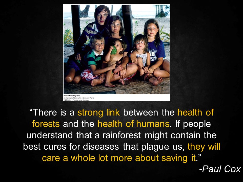 There is a strong link between the health of forests and the health of humans.