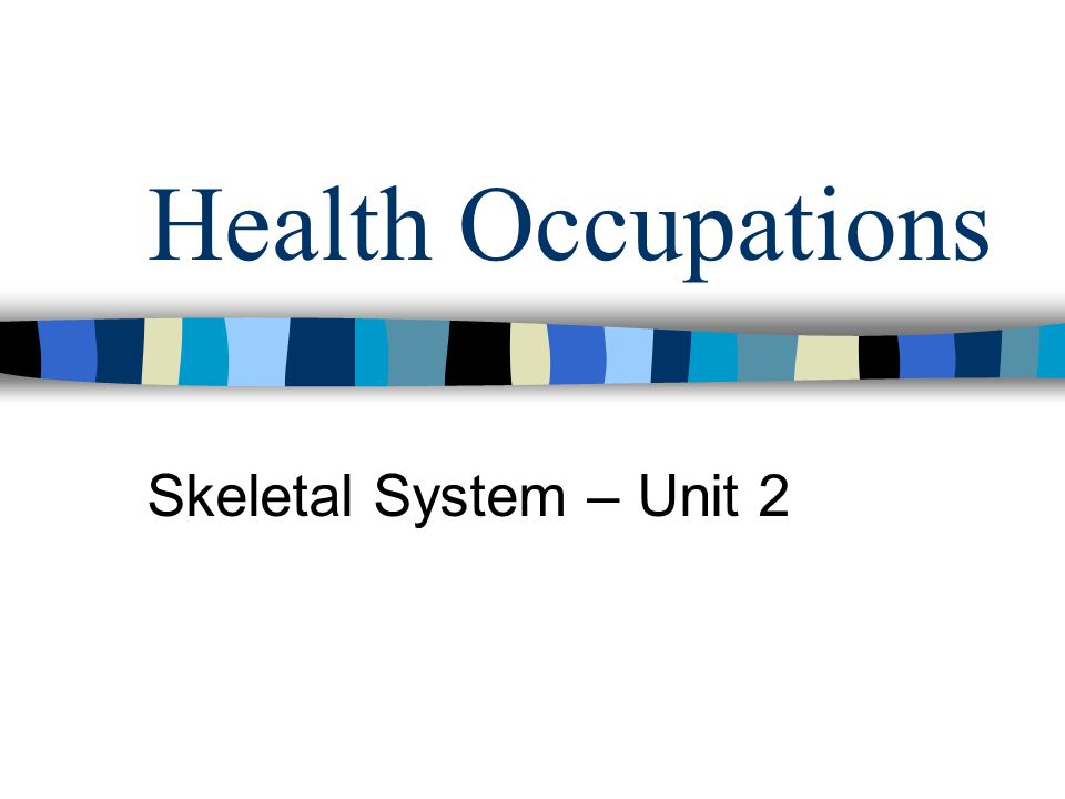 Health Occupations Skeletal System – Unit 2