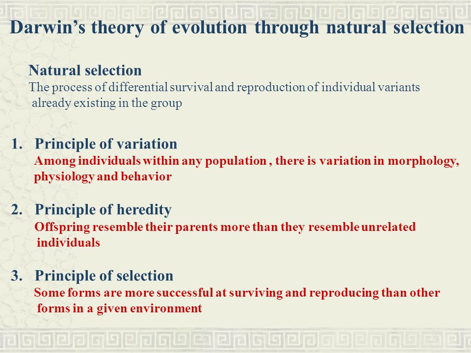 darwins theory of natural selection natural selection examples