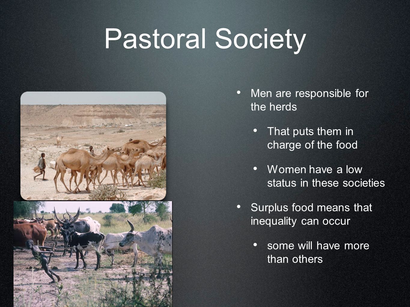 what does pastoral society mean