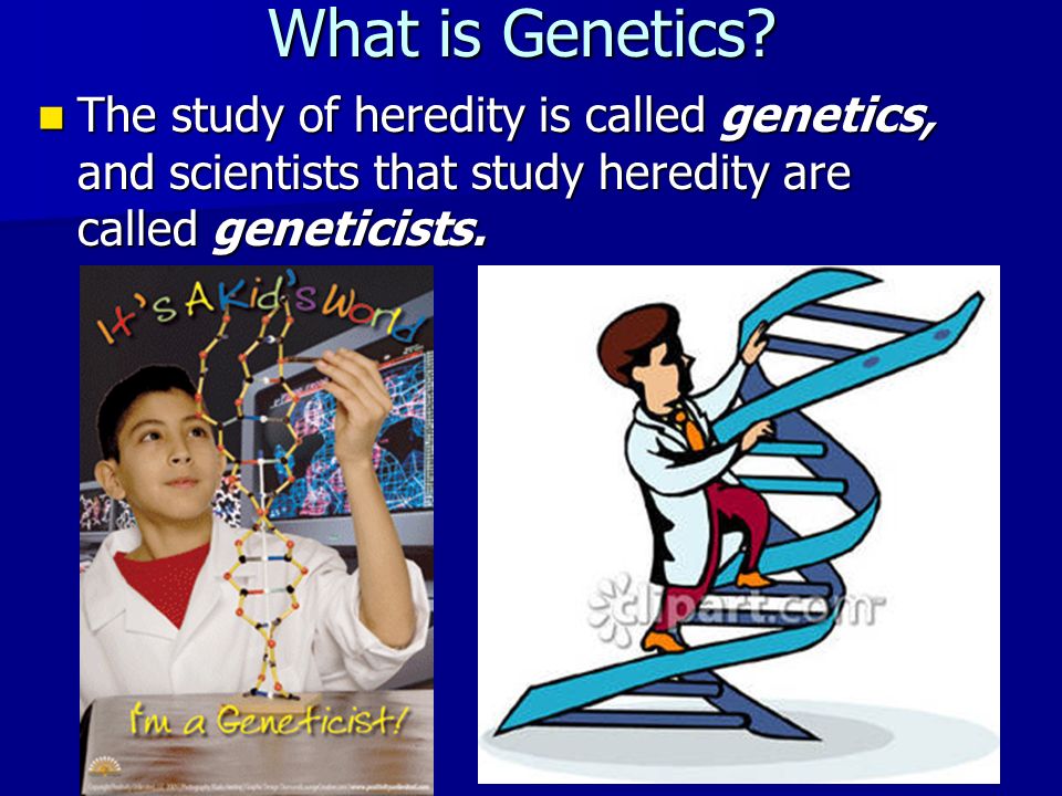What is Genetics.