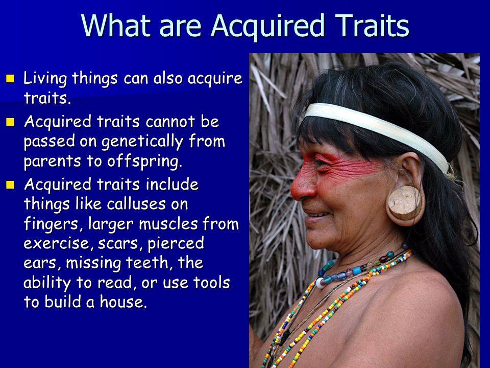 What are Acquired Traits Living things can also acquire traits.