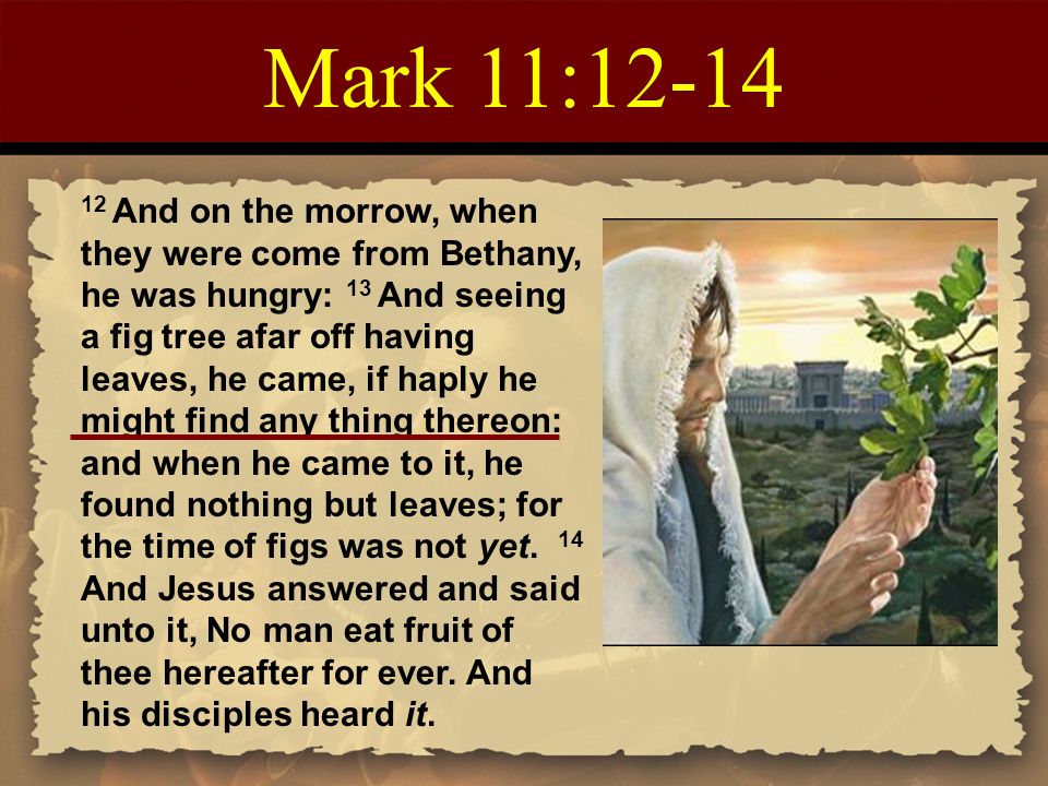 Balak biblestudyresourcecenter.com. Balak Numbers 22:2 – 25:9 Haftarah:  Micah 5:6 – 6:8 Gospel: Mark 11:12-26 Balak = “Balak” The 36 th Torah  Portion. - ppt download