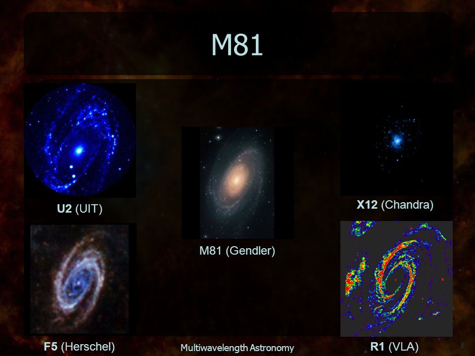 Multiwavelength Astronomy M81 M81 (Gendler) U2 (UIT) X12 (Chandra) F5 (Herschel)R1 (VLA)