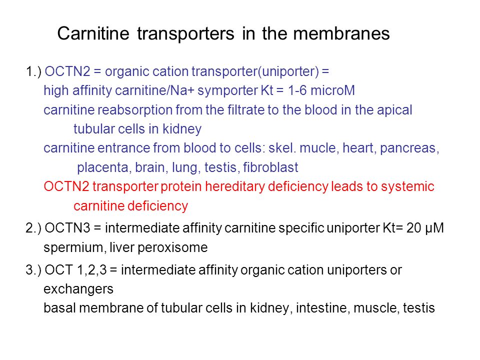 Brain Carnitine Deficiency Causes >> Carnitine Gamma Hydroxi N Trimethylamino Butyrate Ppt Download Brain Carnitine Deficiency Causes >> Carnitine Gamma Hydroxi N Trimethylamino Butyrate Ppt Download