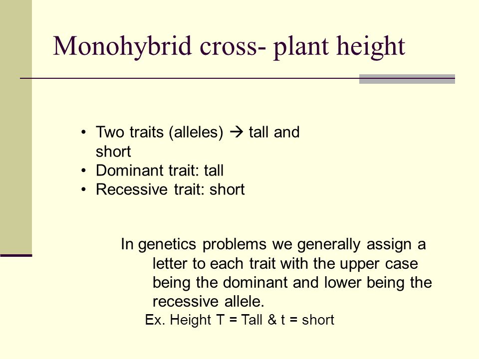 Monohybrid cross- plant height Two traits (alleles)  tall and short Dominant trait: tall Recessive trait: short In genetics problems we generally assign a letter to each trait with the upper case being the dominant and lower being the recessive allele.