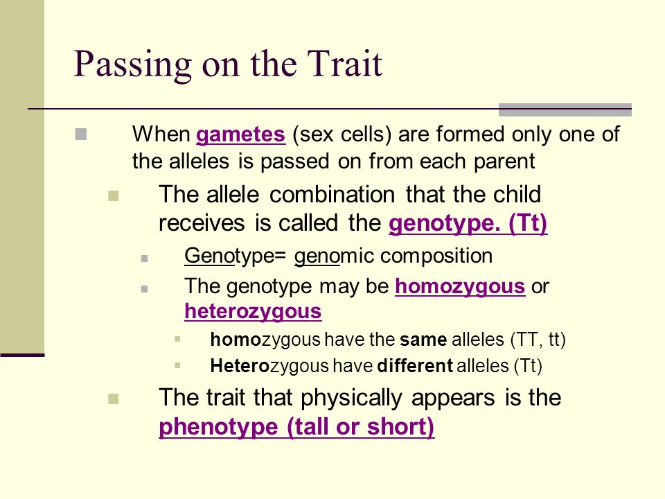 Passing on the Trait When gametes (sex cells) are formed only one of the alleles is passed on from each parent The allele combination that the child receives is called the genotype.