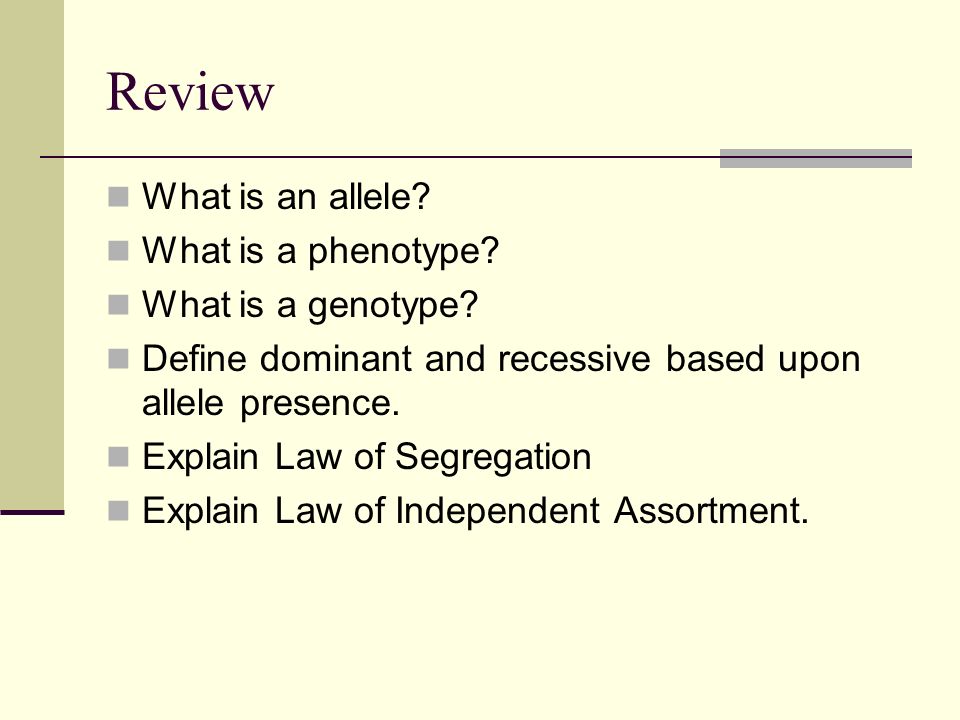 Review What is an allele. What is a phenotype. What is a genotype.