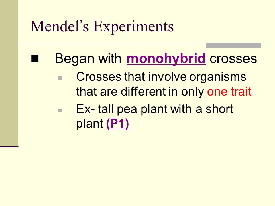 Mendel ’ s Experiments Began with monohybrid crosses Crosses that involve organisms that are different in only one trait Ex- tall pea plant with a short plant (P1)