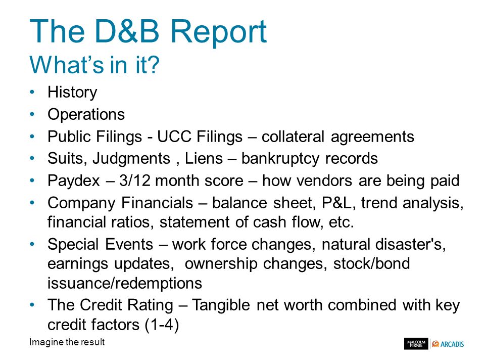 Imagine the result The D&B Report What’s in it.