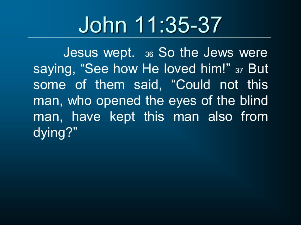 Encounters With Jesus C John Stevenson How Are Sheep Pictured In The Bible How Are Shepherds Pictured In The Bible Ppt Download