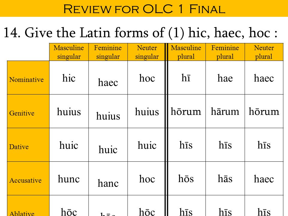 Hic Haec Hoc Chart