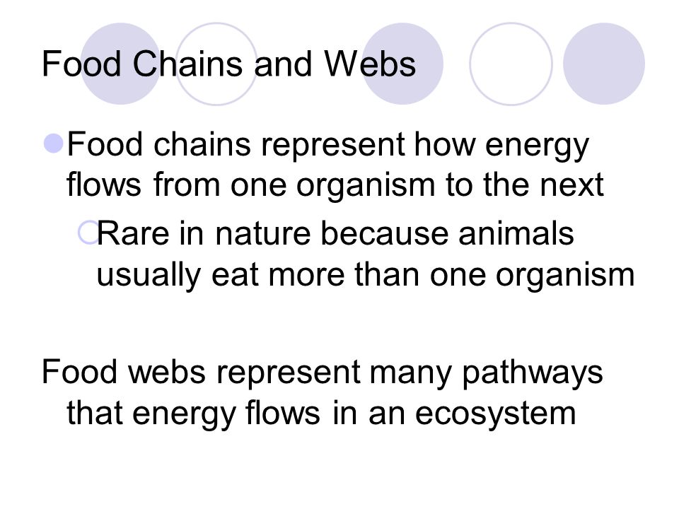 Food Chains and Webs Food chains represent how energy flows from one organism to the next  Rare in nature because animals usually eat more than one organism Food webs represent many pathways that energy flows in an ecosystem