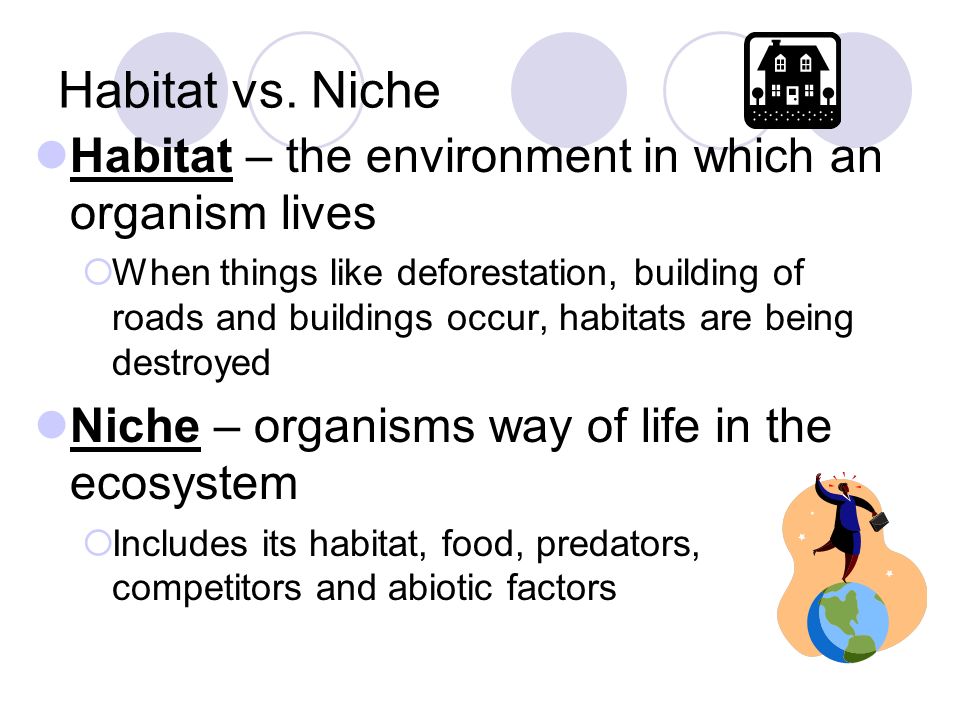 Habitat vs.