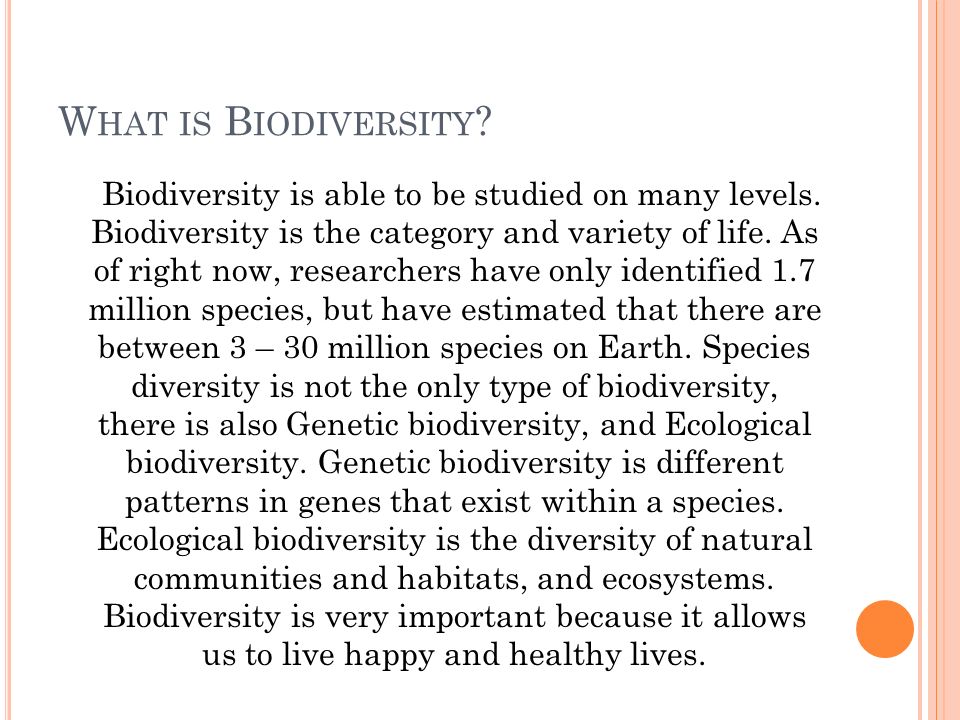 W HAT IS B IODIVERSITY . Biodiversity is able to be studied on many levels.