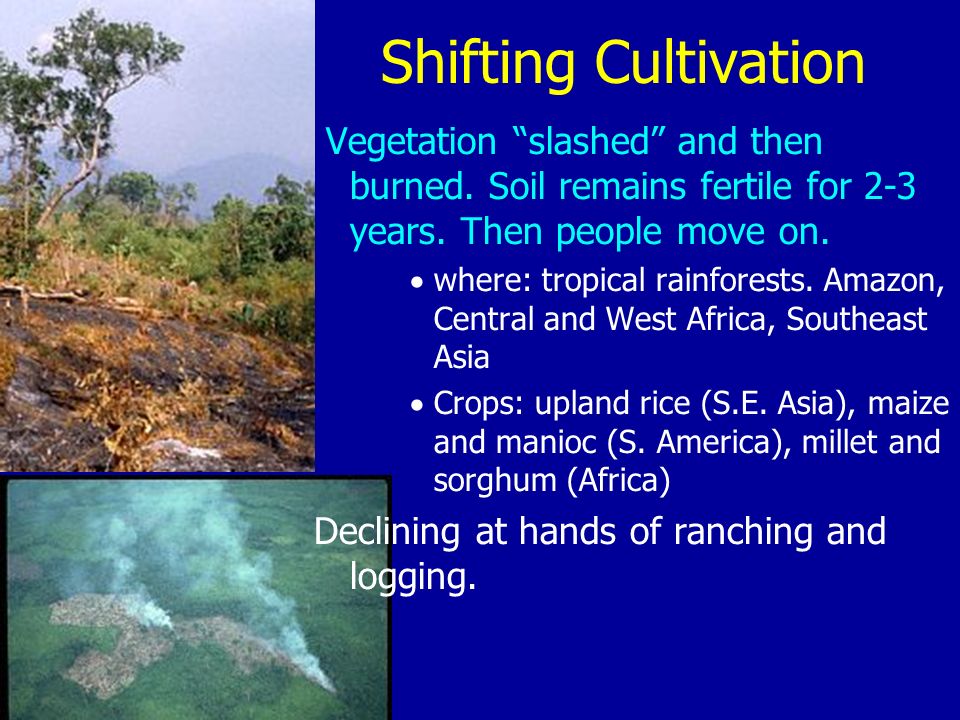 Shifting Cultivation Vegetation slashed and then burned.