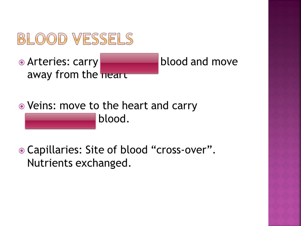  Arteries: carry oxygenated blood and move away from the heart  Veins: move to the heart and carry deoxygenated blood.
