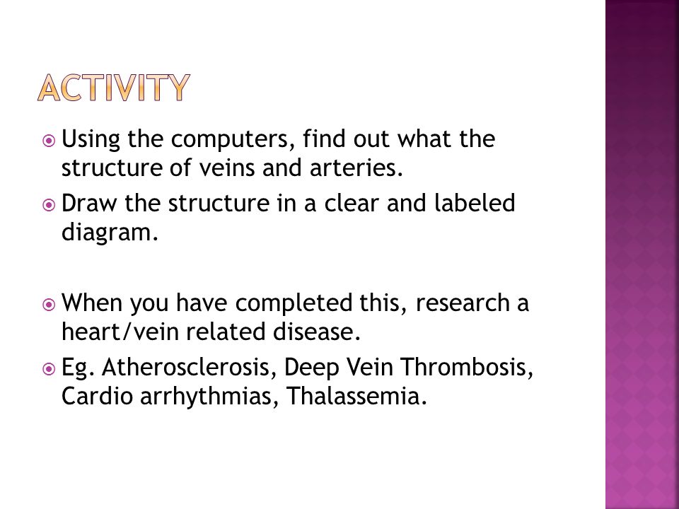  Using the computers, find out what the structure of veins and arteries.