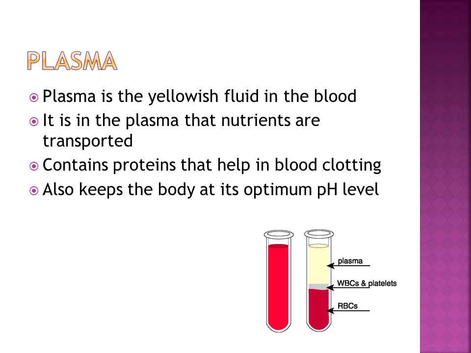  Plasma is the yellowish fluid in the blood  It is in the plasma that nutrients are transported  Contains proteins that help in blood clotting  Also keeps the body at its optimum pH level