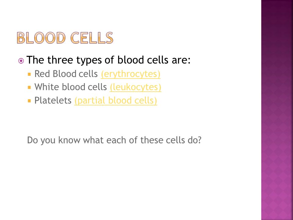  The three types of blood cells are:  Red Blood cells (erythrocytes)(erythrocytes)  White blood cells (leukocytes)(leukocytes)  Platelets (partial blood cells)(partial blood cells) Do you know what each of these cells do