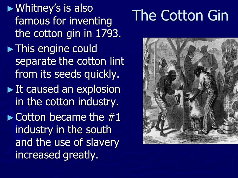 The Cotton Gin ► Whitney’s is also famous for inventing the cotton gin in 1793.