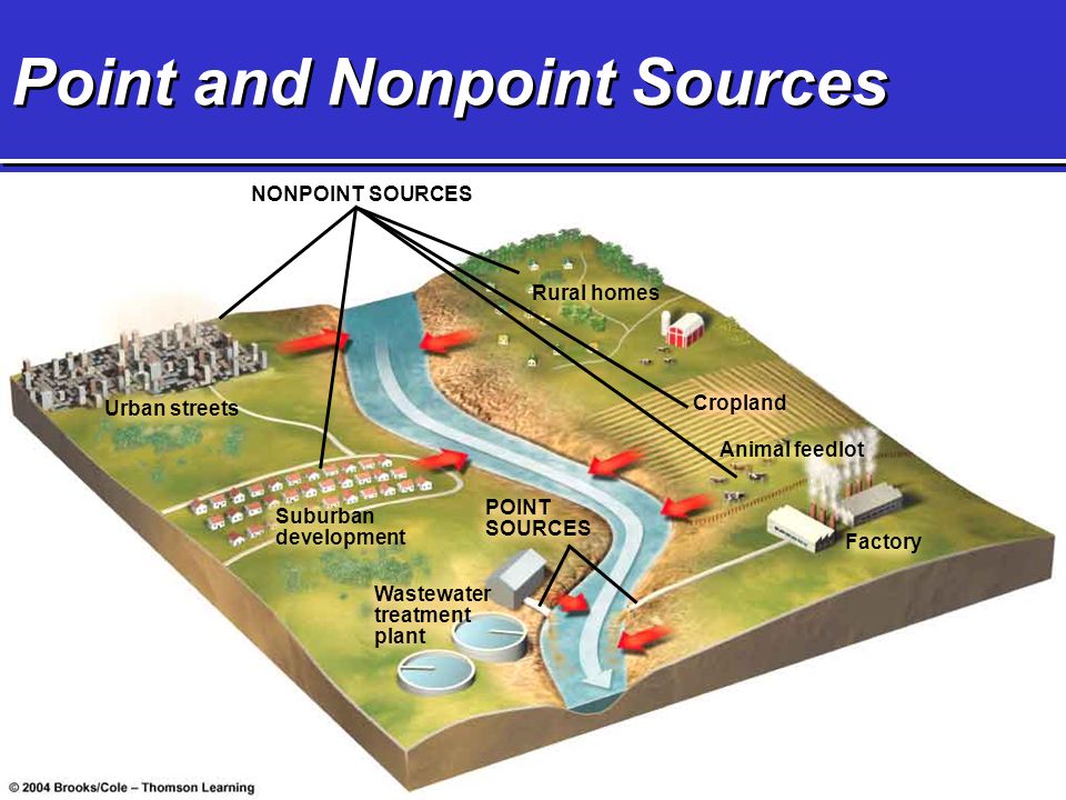 Point and Nonpoint Sources NONPOINT SOURCES Urban streets Suburban development Wastewater treatment plant Rural homes Cropland Factory Animal feedlot POINT SOURCES