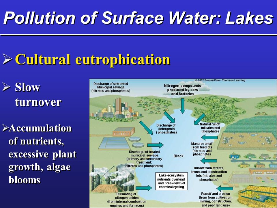 Pollution of Surface Water: Lakes  Cultural eutrophication  Slow turnover  Accumulation of nutrients, excessive plant growth, algae blooms