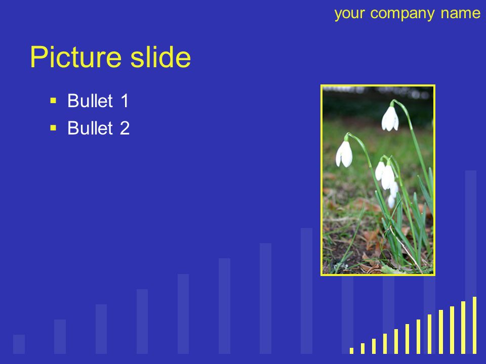 your company name Picture slide  Bullet 1  Bullet 2