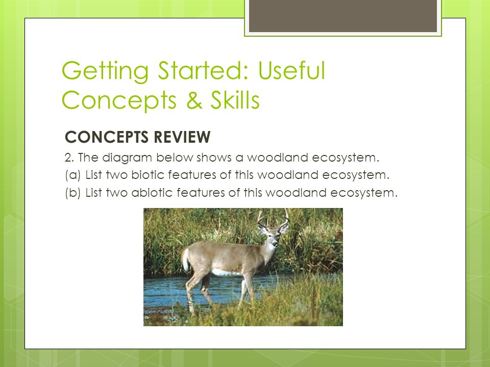 Getting Started: Useful Concepts & Skills CONCEPTS REVIEW 2.