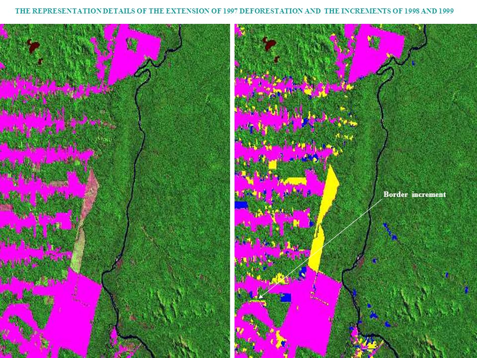 THE REPRESENTATION DETAILS OF THE EXTENSION OF 1997 DEFORESTATION AND THE INCREMENTS OF 1998 AND 1999 Border increment