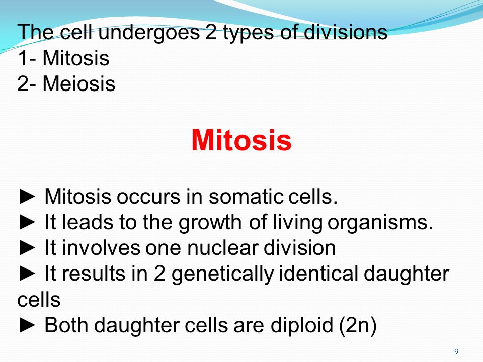 The cell undergoes 2 types of divisions 1- Mitosis 2- Meiosis Mitosis ► Mitosis occurs in somatic cells.