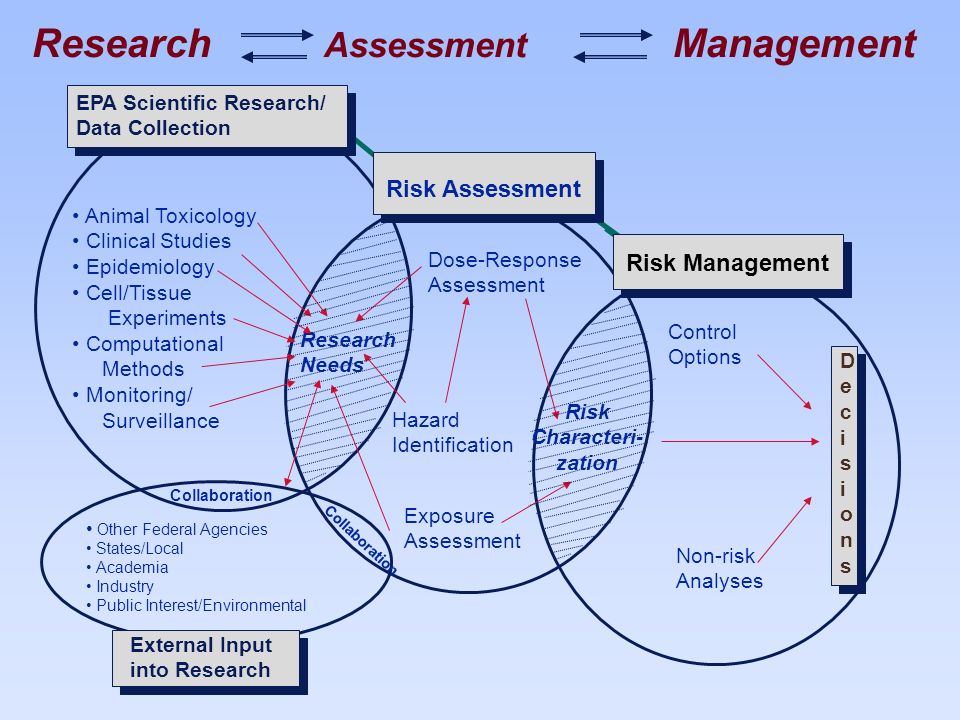Research Assessment Management EPA Scientific Research/ Data Collection EPA Scientific Research/ Data Collection Risk Assessment Dose-Response Assessment Animal Toxicology Clinical Studies Epidemiology Cell/Tissue Experiments Computational Methods Monitoring/ Surveillance Research Needs Hazard Identification Exposure Assessment Risk Characteri- zation Control Options Non-risk Analyses Risk Management Collaboration External Input into Research Other Federal Agencies States/Local Academia Industry Public Interest/Environmental DecisionsDecisions