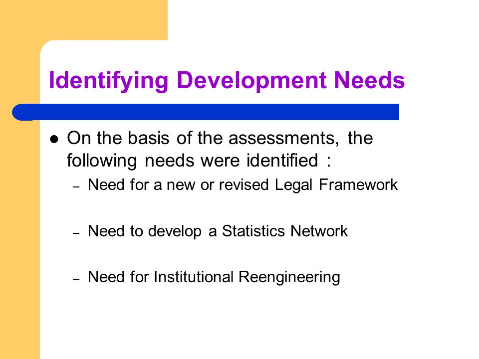 Identifying Development Needs On the basis of the assessments, the following needs were identified : – Need for a new or revised Legal Framework – Need to develop a Statistics Network – Need for Institutional Reengineering