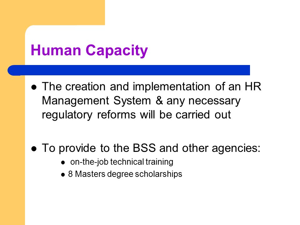 Human Capacity The creation and implementation of an HR Management System & any necessary regulatory reforms will be carried out To provide to the BSS and other agencies: on-the-job technical training 8 Masters degree scholarships