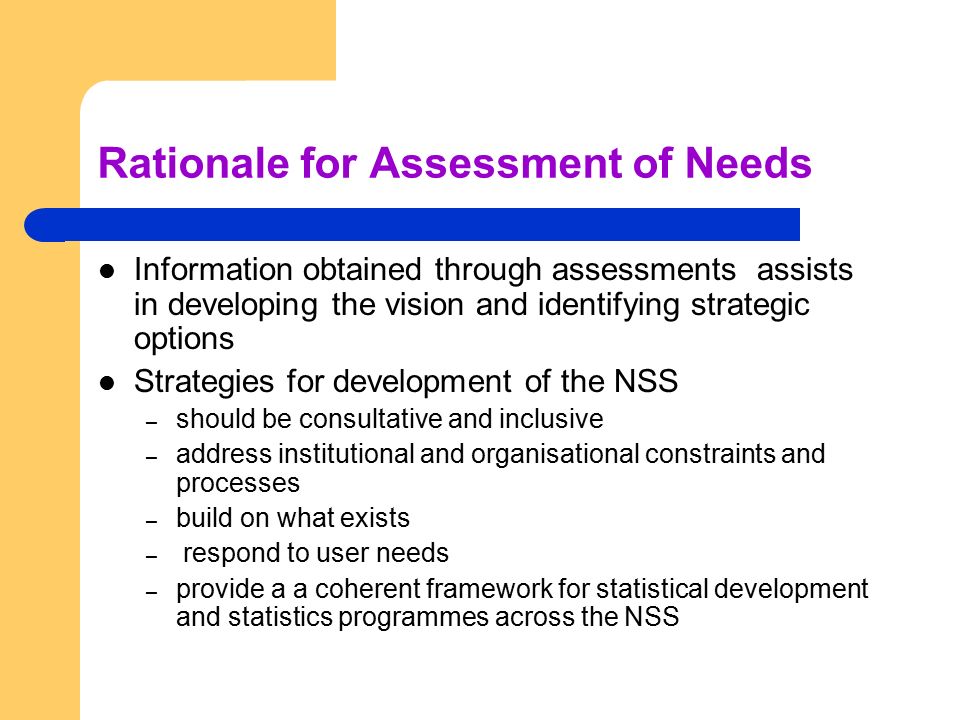 Rationale for Assessment of Needs Information obtained through assessments assists in developing the vision and identifying strategic options Strategies for development of the NSS – should be consultative and inclusive – address institutional and organisational constraints and processes – build on what exists – respond to user needs – provide a a coherent framework for statistical development and statistics programmes across the NSS