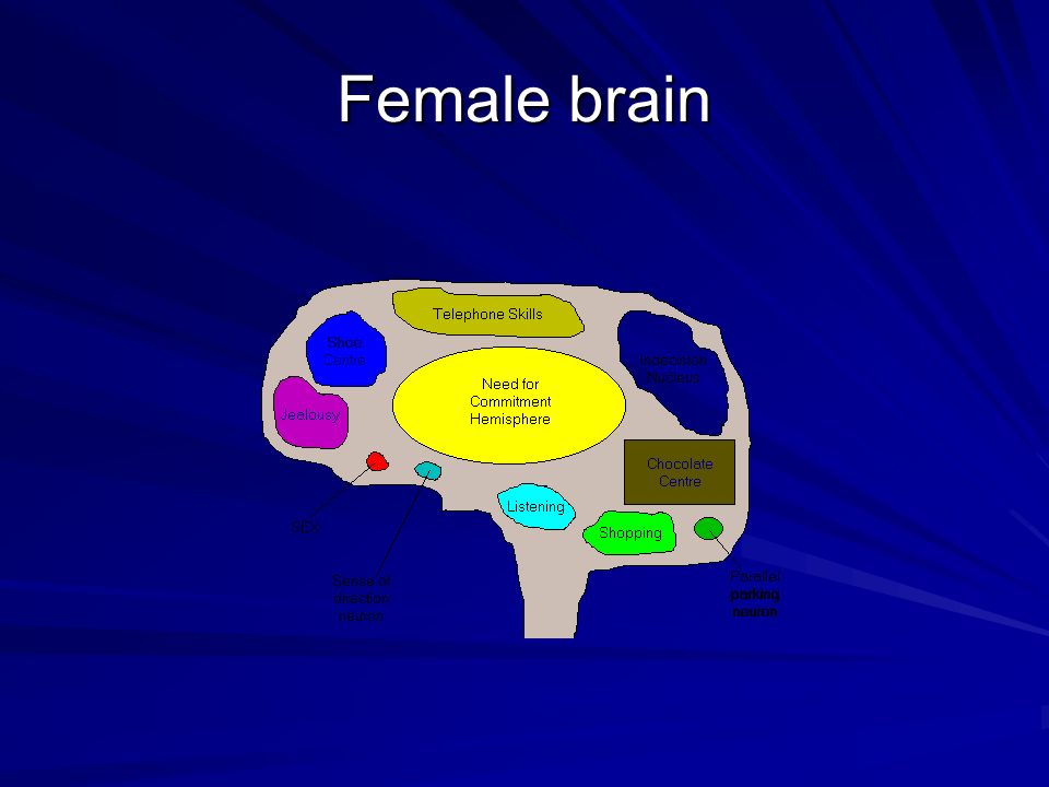 Introduction to the brain and behaviour Amazing brain facts 