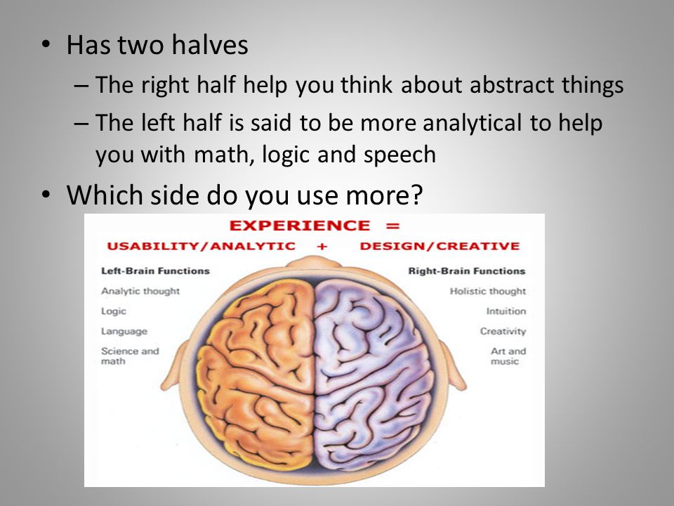 Several Parts Of Your Brain Help You >> Parts Of The Brain Cerebrum The Biggest Part Of The Brain Takes Up Several Parts Of Your Brain Help You >> Parts Of The Brain Cerebrum The Biggest Part Of The Brain Takes Up