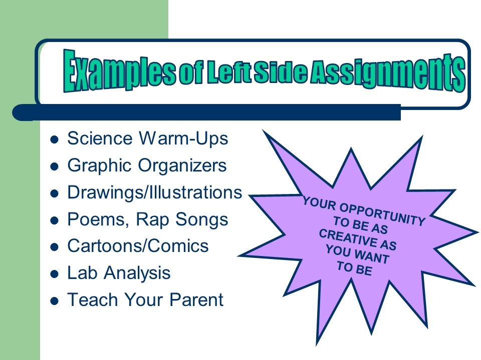 Science Warm-Ups Graphic Organizers Drawings/Illustrations Poems, Rap Songs Cartoons/Comics Lab Analysis Teach Your Parent YOUR OPPORTUNITY TO BE AS CREATIVE AS YOU WANT TO BE