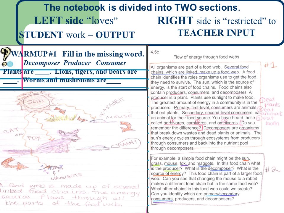 LEFT side loves STUDENT work = OUTPUT RIGHT side is restricted to TEACHER INPUT WARMUP #1 Fill in the missing word.