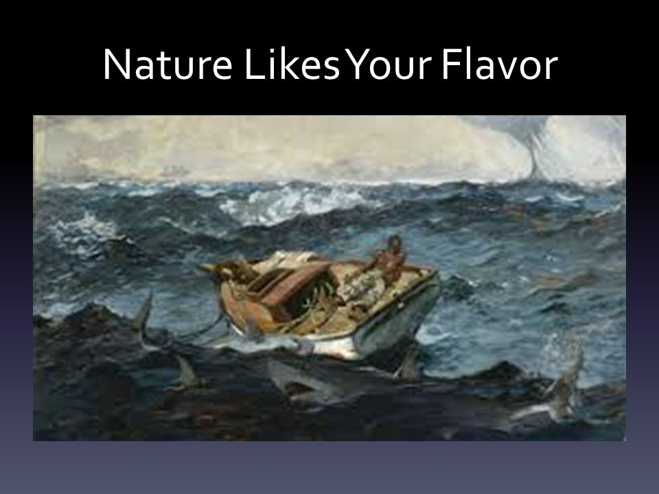 the open boat and naturalism