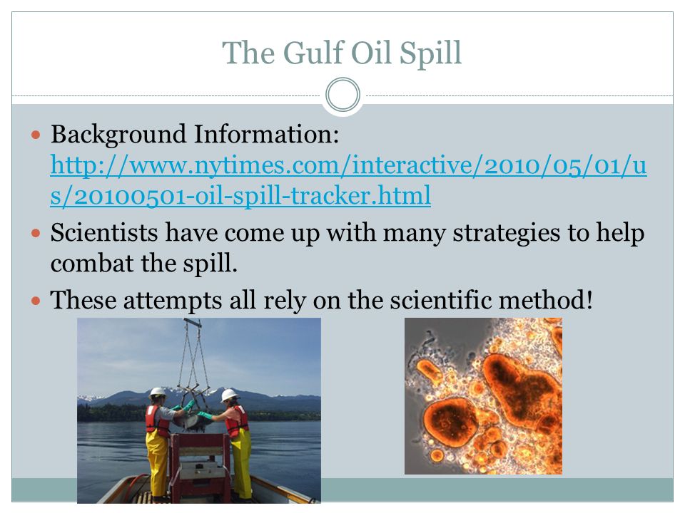 The Gulf Oil Spill Background Information:   s/ oil-spill-tracker.html   s/ oil-spill-tracker.html Scientists have come up with many strategies to help combat the spill.