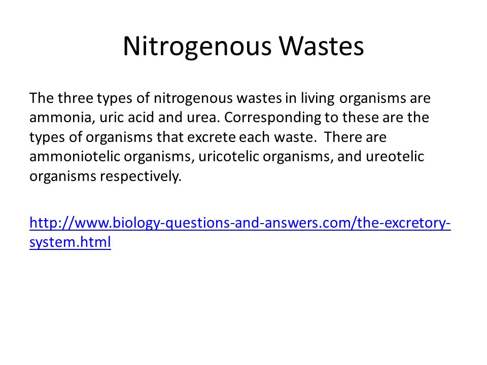 three types of nitrogenous waste