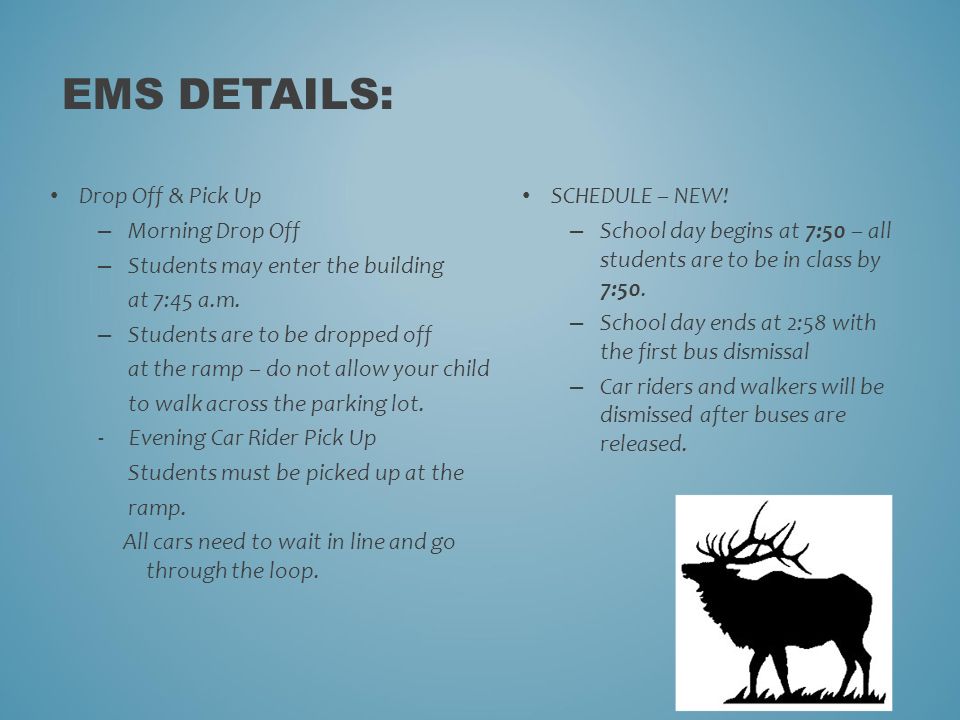 elkton middle school homework hotline elkton middle school homework hotline